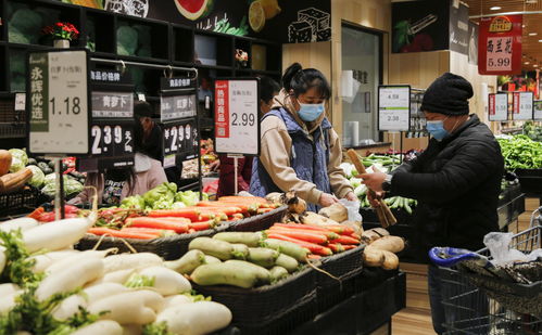 西安蔬菜市场供应充足平稳